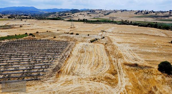 Biga ︎koruoba Köy Mevki Satılık Tarlamız