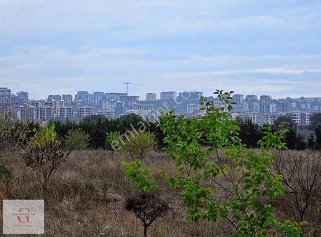 Kayapa İstiklal'de 9610m2 Tek Tapu İmara Sınır Emsalsiz Bahçe