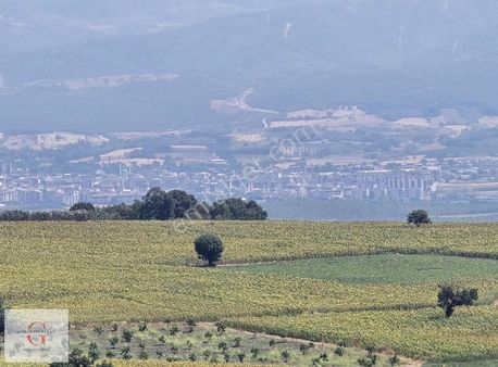 Nilüfer Konaklı'da 4900m2 Yola Cephe Tek Tapu Arzi