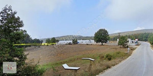 Bursa Nilüfer Maksempınar'da 6250 M2 Müstakil Parsel Arazi