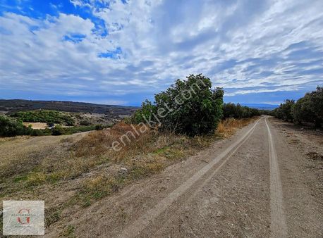 Mudanya Hançerli'de Çift Yolacephe Tek Tapu 11550m2 Arazi