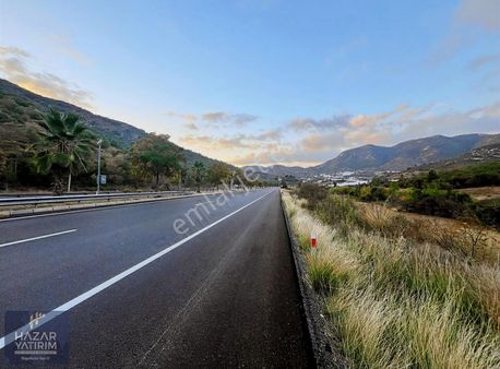 Ana Yol Cepheli Orman Sınırında 24 Dönüm Satılık Arazi