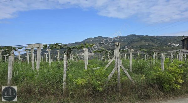 Sönmez'den Efirlide Deniz Manzaralı Satılık 3 Dönüm Arsa