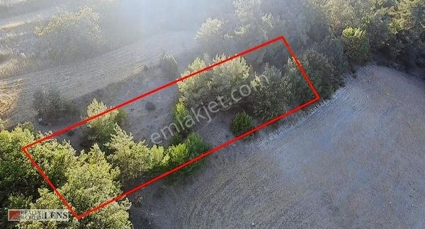 Fırsat! Bu Fiyatlara Yerleşime Yakın Yer Bulmak Zor