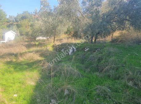 Gökben Mh.823 M2 İmarlı Tarla Satılıktır.