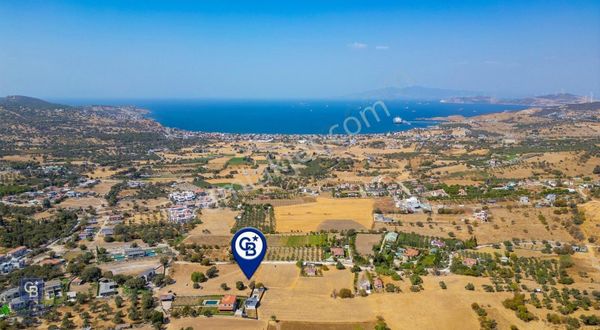 Foça Kozbeyli Merkeze Yakın Satılık Tarla