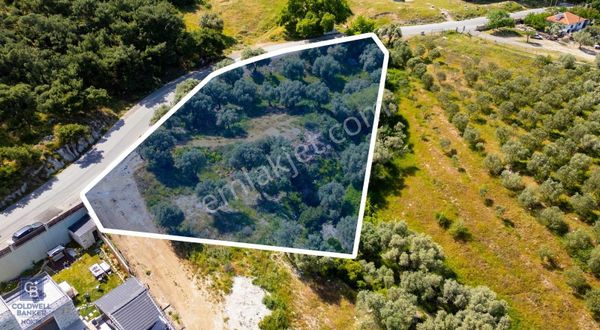 Foça Kozbeyli Ana Yol Üzeri Satılık Tarla
