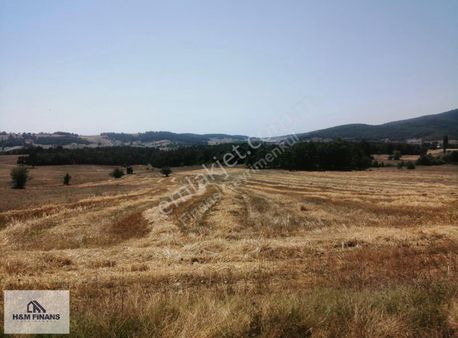 Sakarya Pamukova Hüseyinli Mh. Satılık 3.718 M2 Arsa