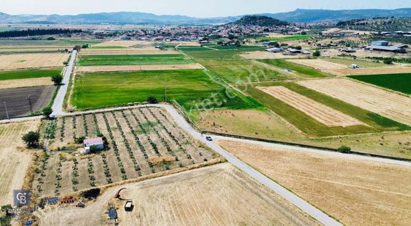 Foça Gerenköy De Satılık Hisseli Tarla