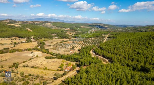 İzmir Bergama Zeytindağ'da Satılık 2 Adet Dağ Evi Ve Tarla