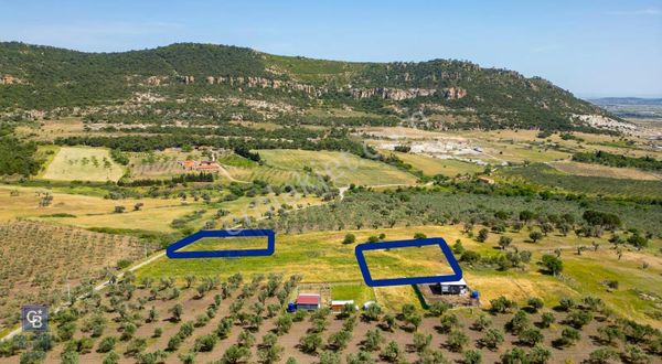 Foça Kocamehmetler'de Satılık 1250 M2 Tarla