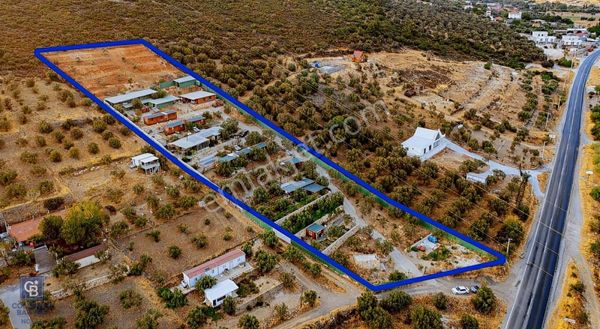 Foça Ilıpınar'da 5 Dönüm İçerisinde Satılık Müstakil Ev