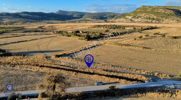 Foça Bağarası Hacıveli Mah. Satılık Tek Tapulu Tarla