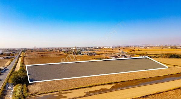Menemen Ulukent Ovasında Satılık 16.050m2 Tarla
