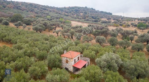 Foça Kozbeyli'de Satılık Tarla