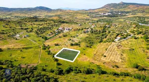 Foça Yenibağarası'nda Satılık Tarla