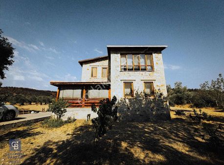 Foça Ilıpınar'da Satılık Müstakil Taş Ev Ve Zeytinli Tarla