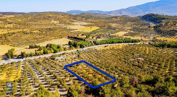 İzmir- Foça Karayolu Üzeri Satılık 2027 M2 Tarla