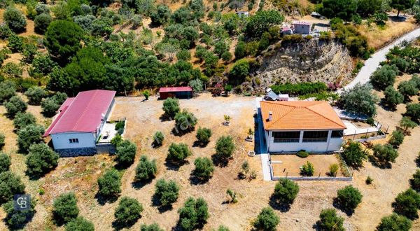 Aydın Söke De 45 Dönüm Konut Ve Müştemilatlı Zeytinlik