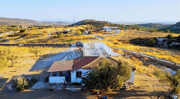 Foça Yeniköy'de Satılık 40 Dönüm Tarla