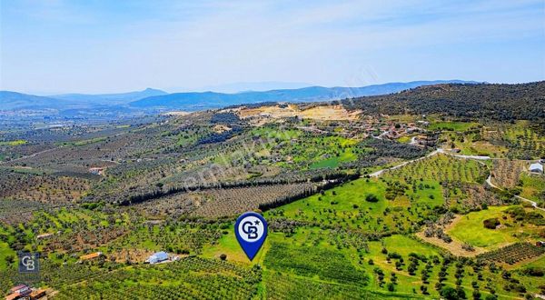 Foça Kocamehmetler'de Satılık 707 M2 Tarla