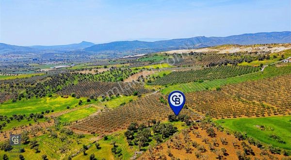 Foça Kocamehmetler'de Satılık 197 M2 Tarla