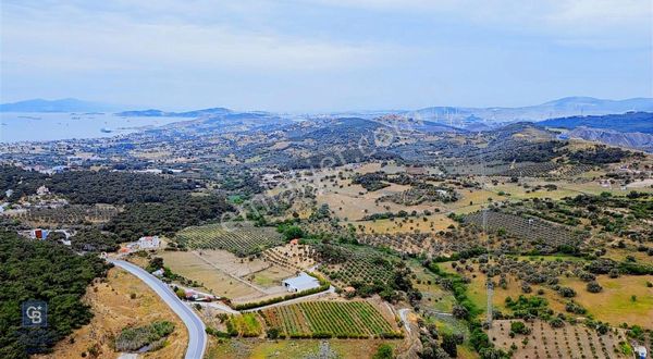 Foça Kozbeyli'de Satılık Tarla