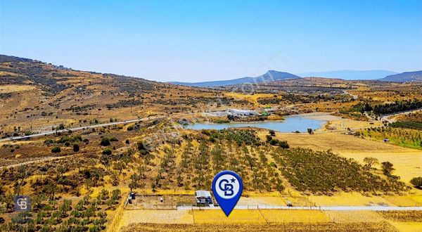 Foça Yenibağarası'nda Satılık Tarla