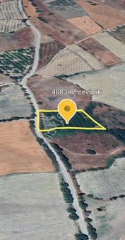 ▓ Rw Liva'dan ▓ Savaştepe Tavşancık Mah.de Satılık 4000 M2 Ceviz Tarlası