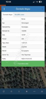 Dialog Piramitten Gündoğdu Da Zeytinlik