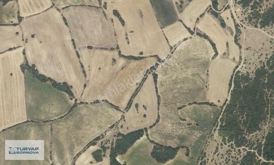 Susurluk Babaköy'de Güzel Konumda Satılık 7.100 M2 Tarla