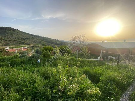 🟧 Aktif'ten Burhaniye Dutluca'da %25 İmarlı 301 M² Satılık İmarlı Arsa 🟧🟧