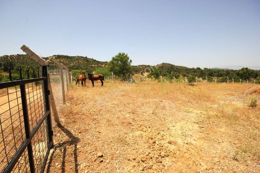 🔴🔴 Aktif'ten Kuyumcu Köyünde Ana Yola Sıfır Etrafı Tel İle Çevrili Satılık 3.100 M2 Tarla🔴🔴