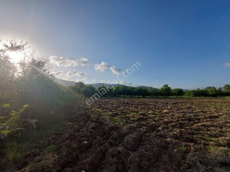 Muğla Ortaca, Dalaklı 2.000 M2, 400 M2 İnşaat Hakkı Olan Satılık Konut İmarlı Arsa