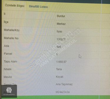 Yol Kenarına 2. Parsel Verimli Arazi Uygun Fiyatlı Fırsat Tarla