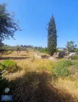 Menderes Kısıkköyde Havaalanı Karşısı Satılık Arsa