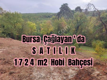 Bursa Çağlayanda Komisyonsuz Satılık 1724m2 Hobi Bahçesi