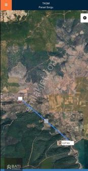 Milas Bozbük'de Denize 2 Km Mesafede 9 Dönüm Zeytinlik