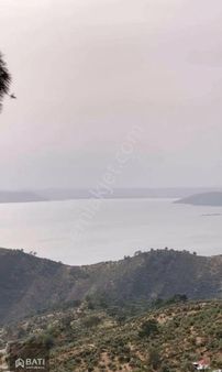 Milas Karahayıt'da Muhteşem Göl Manzaralı Satılık Zeytinlik