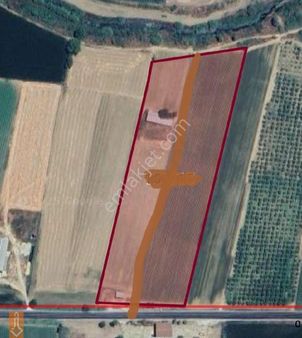 Tire Teira Emlaktan İzmir Ana Asfalta Cepheli Tarla