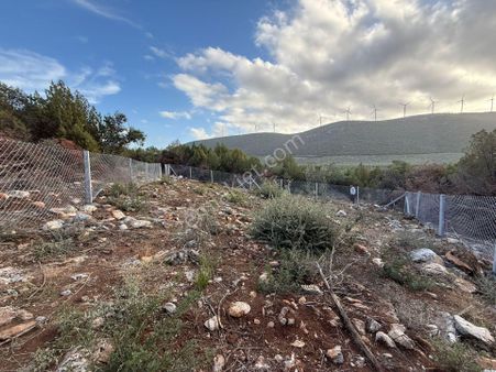 İçi Yemizlenmiş Tel Örgülü Didim 2.balovada Fırsat Villa Arsası