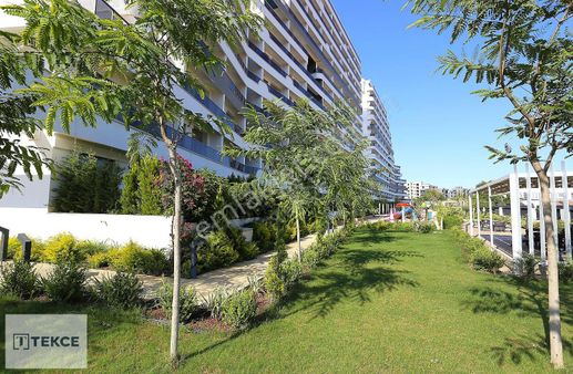 Altıntaş The Curise Collection'da 1+1 Eşyalı Daire | Tekce