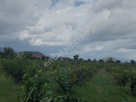 Mugla Dalyan Da 150 M2 İnşaat Hakkı Olan 5.000 M2 Arazi Satılık