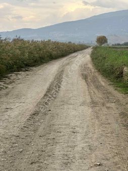 Nazilli Otoban Yol Ayrımında Satılık 9 Dönüm Tarla
