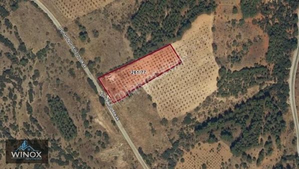 Denizli, Çal, Akkent'te Satılık Bağ