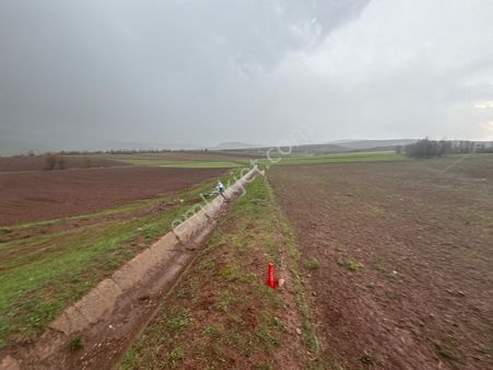 Tokat Merkez'de Satılık Arazi