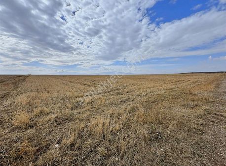 İks Emlaktan Satılık 91 Dönüm Tarla Erzurum Yokuna 3 Km