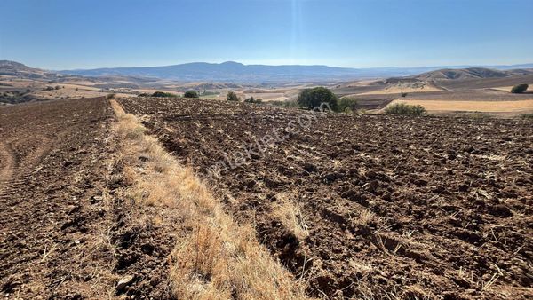 Çorum Merkez Yoğunpelit Köyünde Satılık Tarla