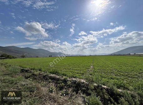Muğla Milasta Satılık 26 Dönüm Tarla