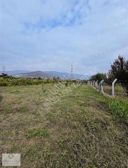 **menemen Haykıran Köyde 1230 M² Tek Tapu Tarla**